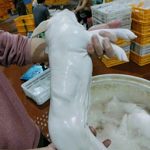 佛山整头猪 乳独，生鲜猪，精品乳猪，脆皮乳猪