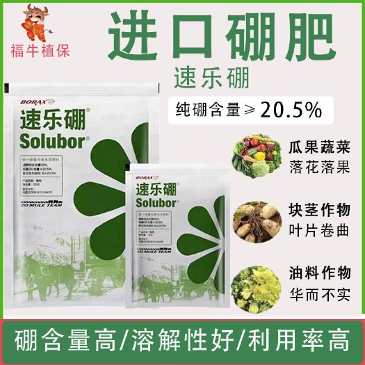 宁阳县美国硼肥叶面肥速溶硼肥速乐硼西红柿黄瓜柑橘保花专用肥