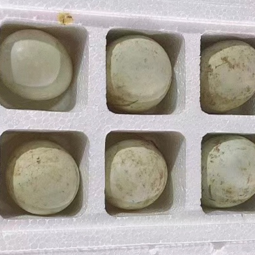 长沙 白鸭蛋