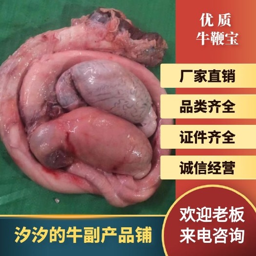 南昌牛鞭宝