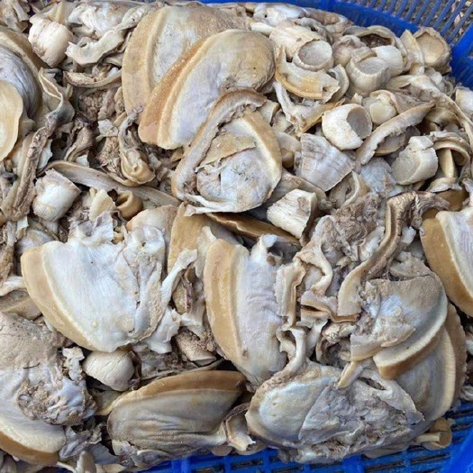 桂林蚌肉