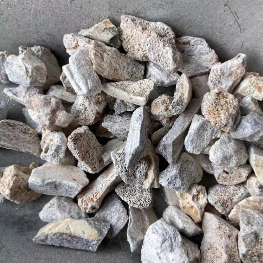 亳州五花龙骨/青龙骨，正品中药材五花龙骨！懂得自然懂，量大从优