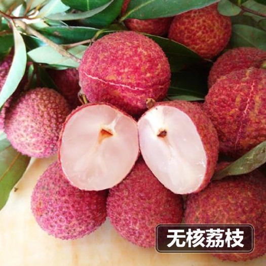灵山县妃子笑荔枝苗  正宗荔枝树苗妃子笑桂味荔枝嫁接苗无核荔枝苗
