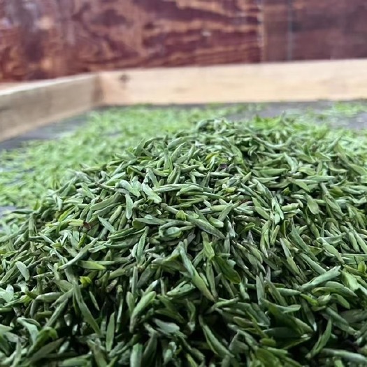 湖州毛峰茶 2022年，清明前的新茶，经过一个寒冬，雪后第一次抽的芽