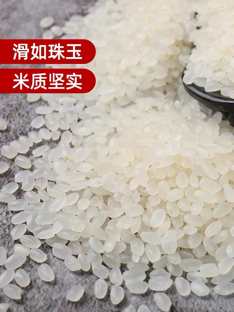 粳米  【煮粥专用米】北田东北大米雪粒珍珠米5kg10斤当季新米
