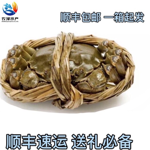 洪湖市大闸蟹 洪湖清水  精品蟹礼盒 顺丰包邮