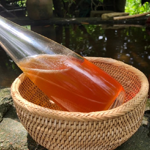 三亚野蜂蜜 海南深山蜂蜜