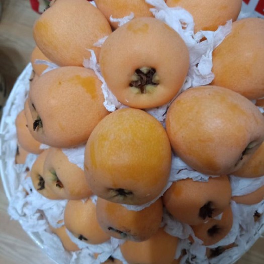 蒙自市大五星枇杷 云南红河蒙自五星大枇杷，皮薄肉厚，多汁味甜，欢迎大家前来采购