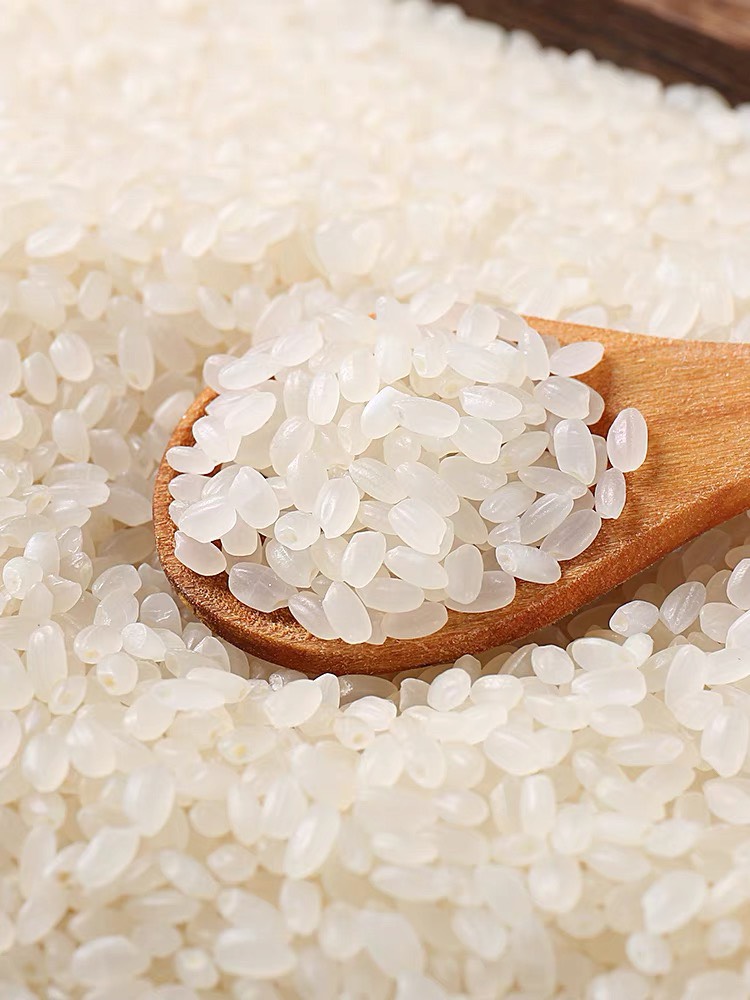 粳米  【煮粥专用米】北田东北大米雪粒珍珠米5kg10斤当季新米