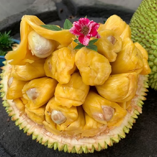 化州市一整个菠萝蜜 广东菠萝蜜包邮 一整个一口价包邮送货到家