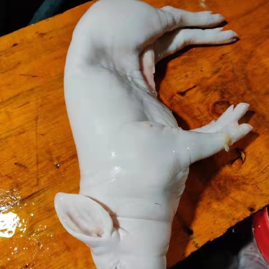 佛山整头猪 冷鲜肉 生肉 全猪