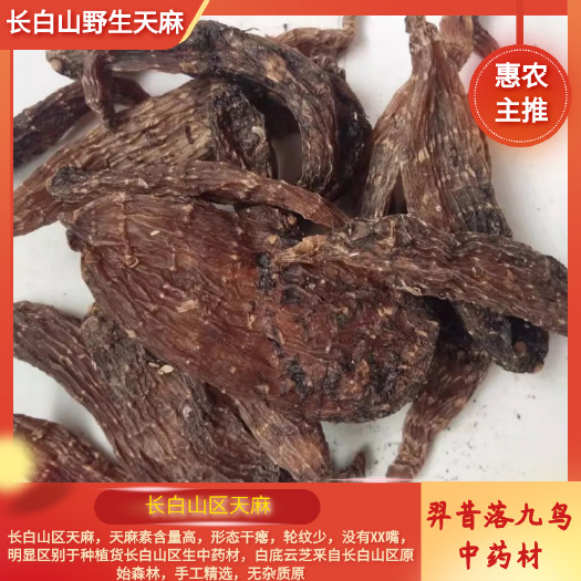 乌天麻  长白山区天麻
