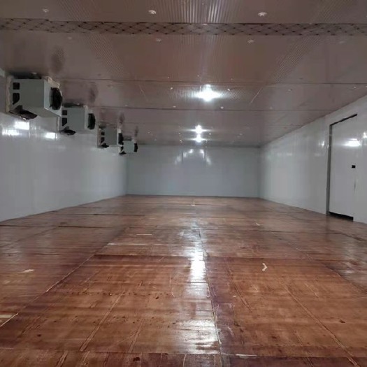 南皮县冷库租赁沧县遵化市移动冷库出租赁出售保鲜库冷藏库速冻库