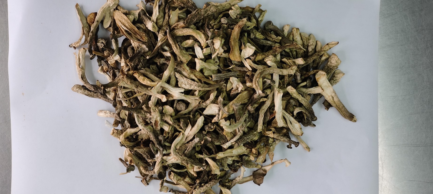  鹿茸菇（初茸）