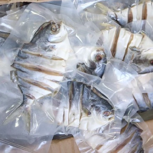 湛江4-5两金昌鱼干