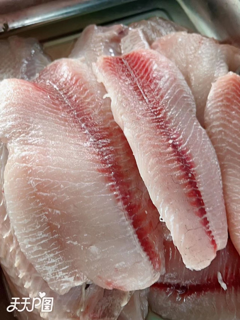 四会市麦鲮鱼肉，红眼鱼活鱼现杀，零下35度速冻。