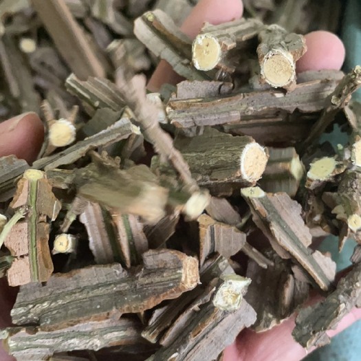 玉林鬼箭羽药材