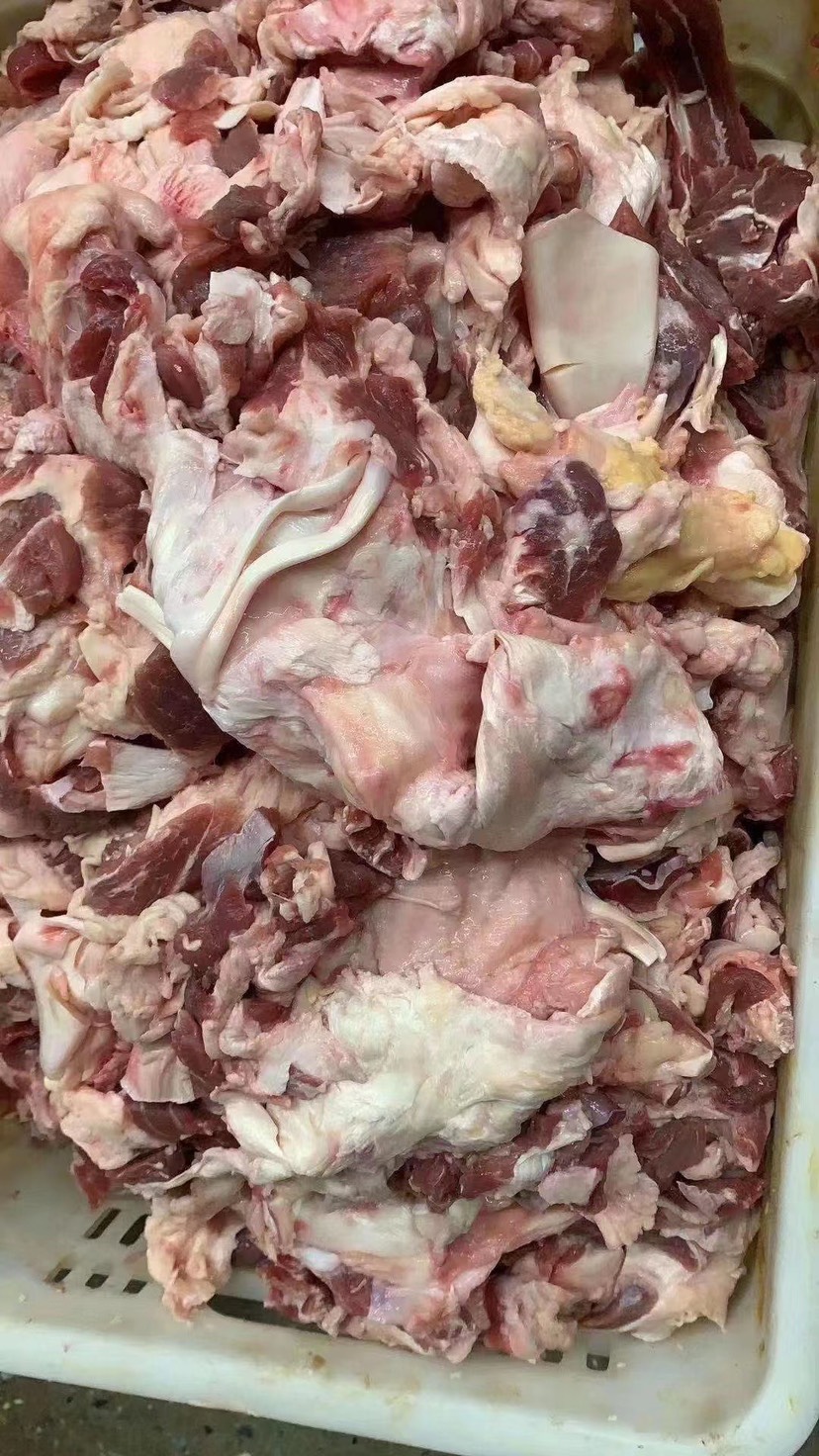 河间市牛筋 牛棒骨筋 精修去油牛棒骨筋 可用于筋头巴脑锅 火锅食材