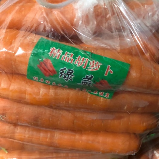 新泰市 精品胡萝卜