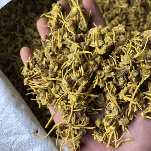 金花菜 黄龙草头茶今年新货 一件100斤 颜色周正 干净
