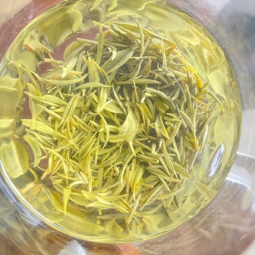 信阳毛尖茶 信阳毛尖