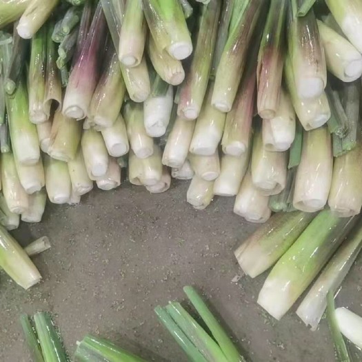 漳州精品茭白，肉白个大光泽亮。产地福建浙江品种。走量欢迎联系