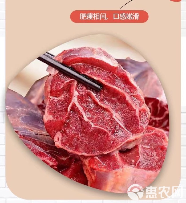 肉牛 原切牛腱子肉新鲜现宰农家散养黄牛腱子肉非调理牛腱子