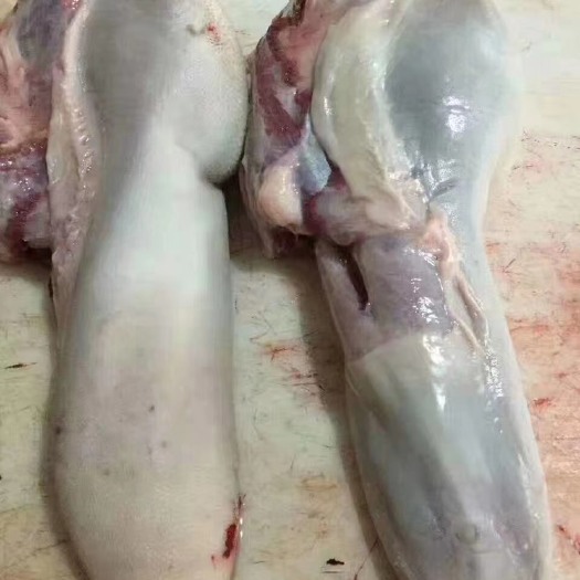 成都 纯干牛舌 国产黄牛牛舌 无注水无调理