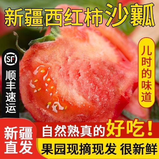 乌鲁木齐水果西红柿 新疆普罗旺斯沙瓤西红柿自然熟水果番茄生吃