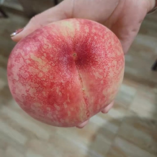 宁乡市金秋红蜜 水蜜桃
