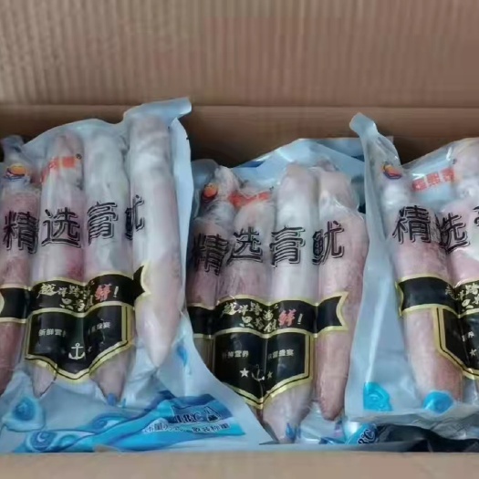北海皮皮虾  母鱿鱼/鱿鱼/全籽鱿鱼/海兔/一手货源