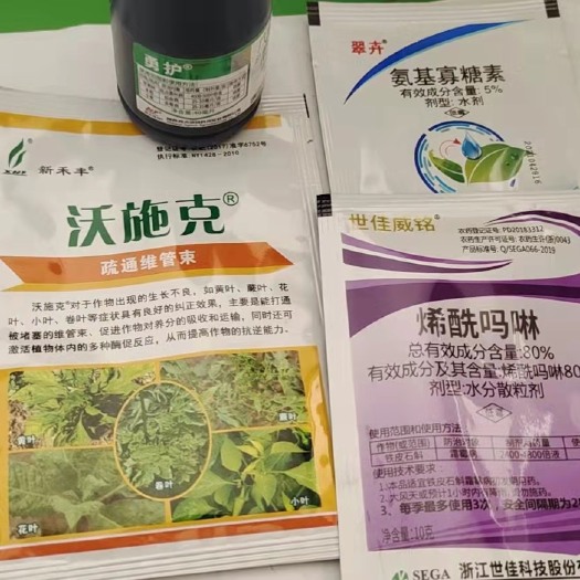 尉氏县杀菌套餐 大蒜治病套餐