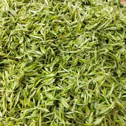 霍山县黄芽茶   绿茶(清明节茶叶，接受批发和少量批发)