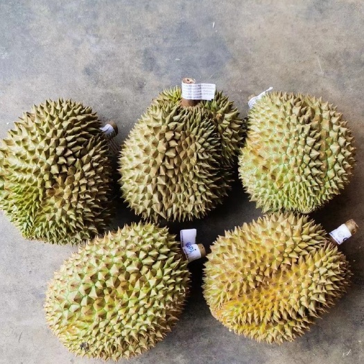 南宁空运泰国金枕榴莲