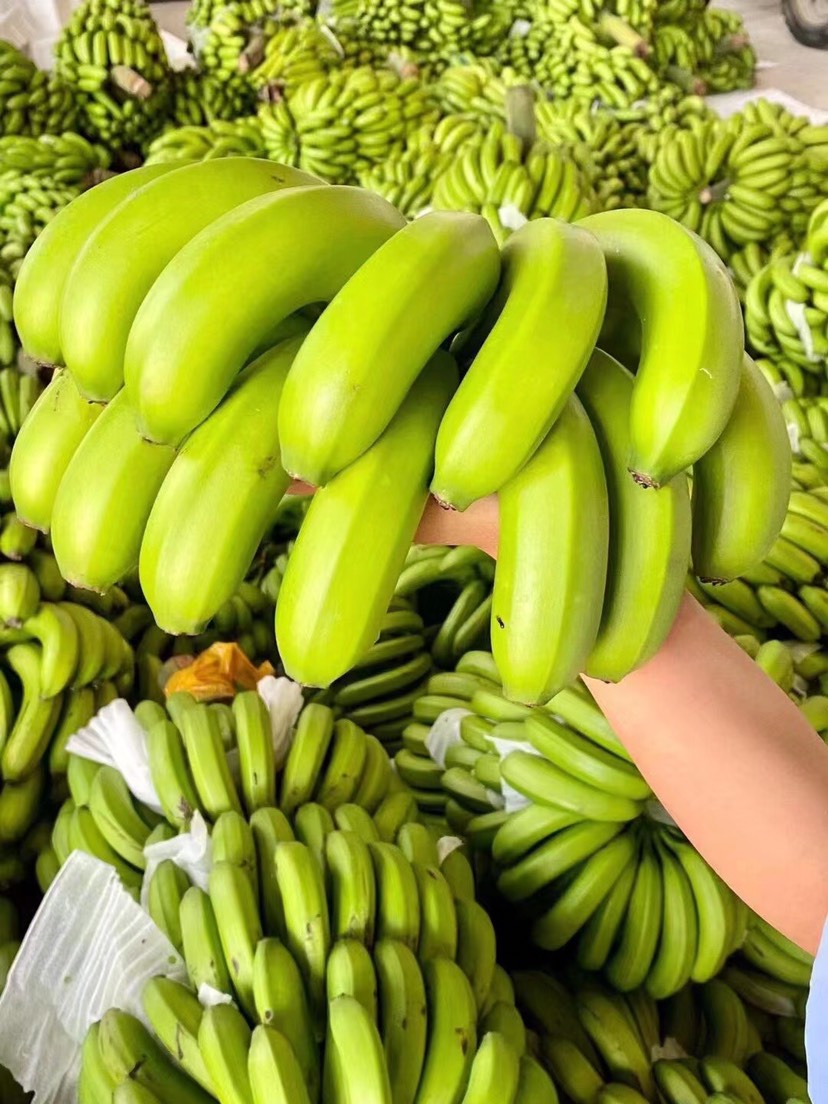 苹果蕉   广东省高州本地甜香蕉．又甜又香．有香蕉味·需要的