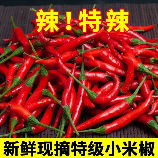 博兴县新鲜小米椒朝天椒指天椒农家现摘特辣红辣椒