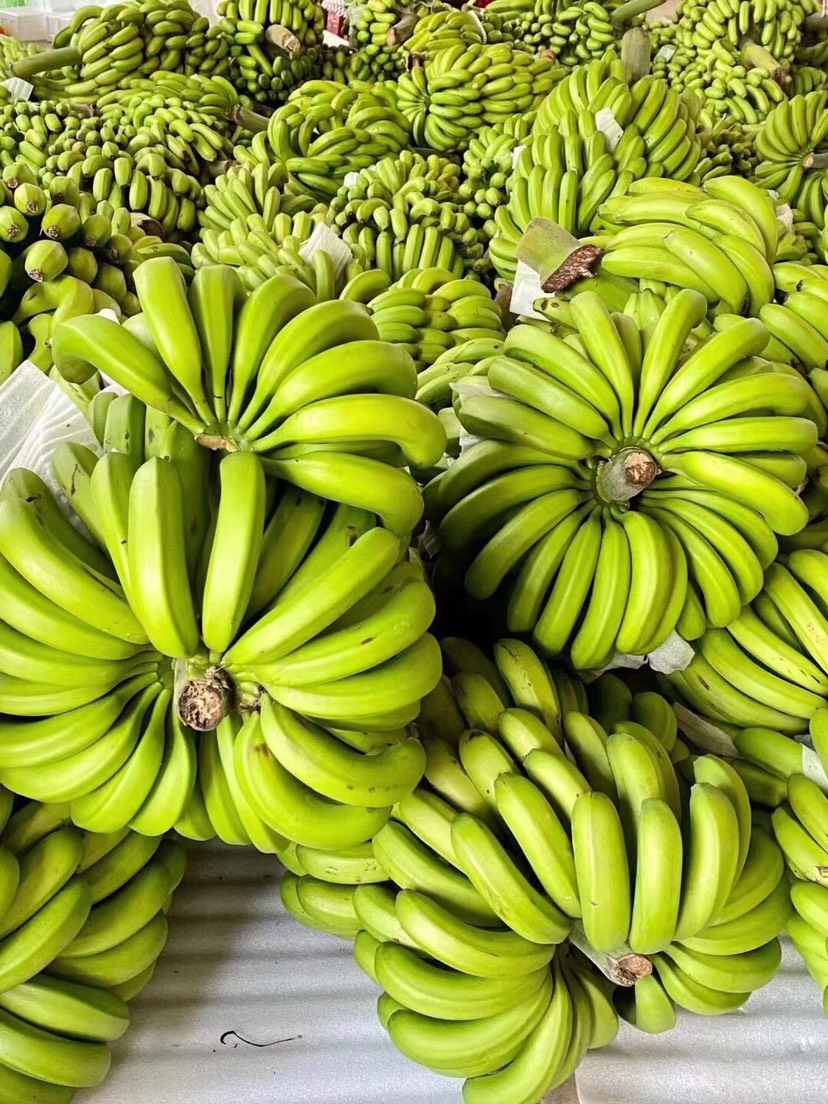 苹果蕉   广东省高州本地甜香蕉．又甜又香．有香蕉味·需要的