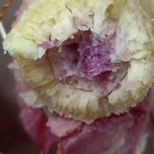 高州市红心红薯  一点红番薯高州水库沙地．需要大量货的联系我
