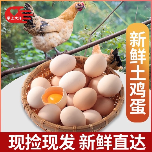 建德市 【掌上大洋】精品粉壳蛋360枚/箱40-42斤