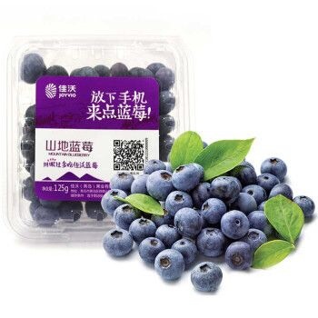 佳沃蓝莓