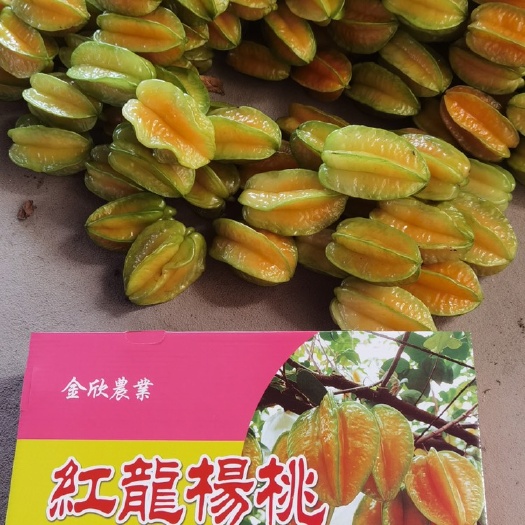 南靖县香蜜杨桃 产地直销批发，欢迎各位老板前来咨询