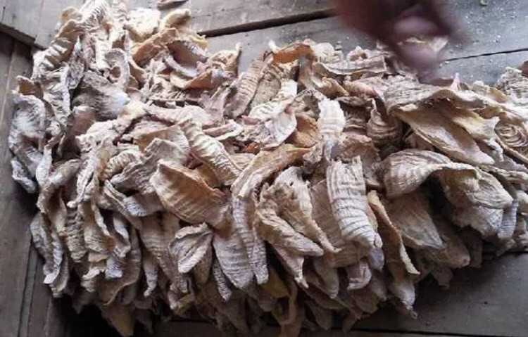 南平 笋干 福建笋干