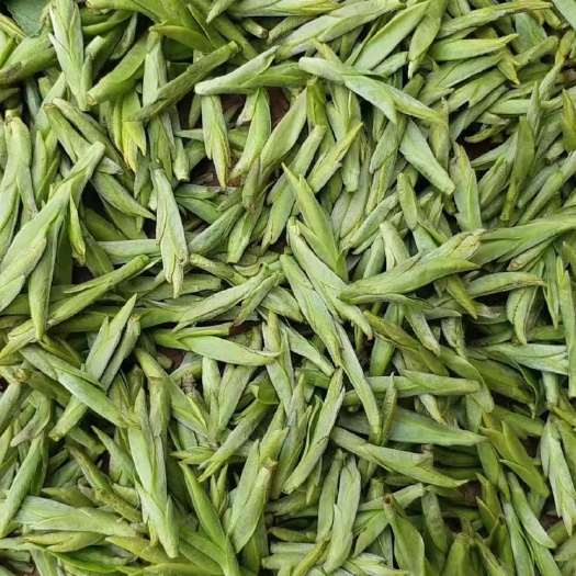 永嘉县龙井茶 乌牛早茶（仙客名树茶）