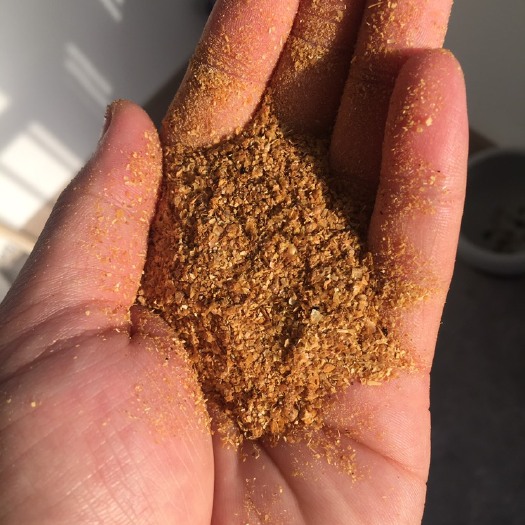 正定县玉米酒糟 ddgs 低毒素猪牛羊饲料原料 替代豆粕 节约成本