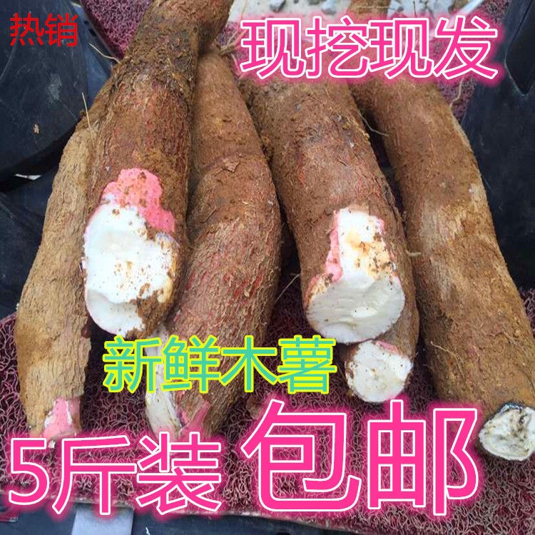 长沙 【包邮-50斤木薯】热销20斤50斤新鲜  农家木薯