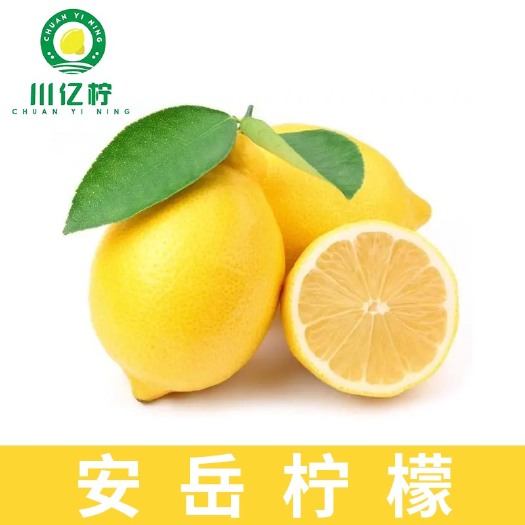 安岳县尤力克柠檬  安岳黄柠檬1.2级果、果园产地直销、新鲜多汁、带箱称重、