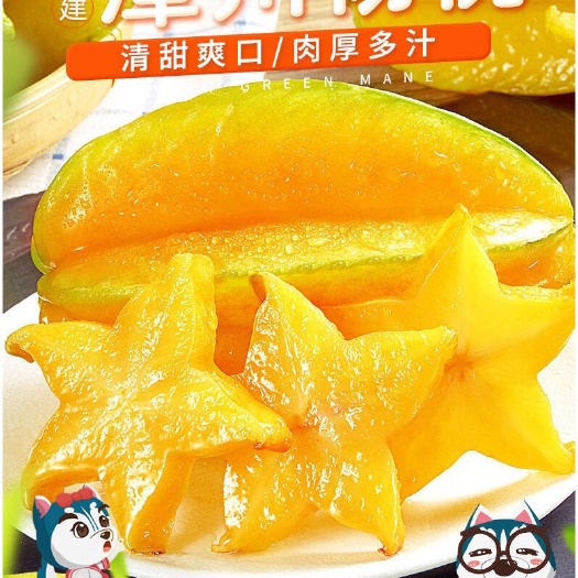 南靖县香蜜杨桃 产地直供，每天新鲜采摘下来的