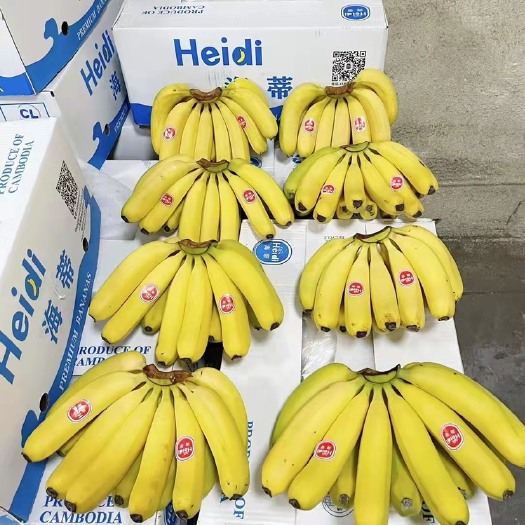 济南山东精品香蕉超市活动水果店大量现货欢迎采购