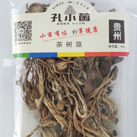 贵阳 原产地茶树菇