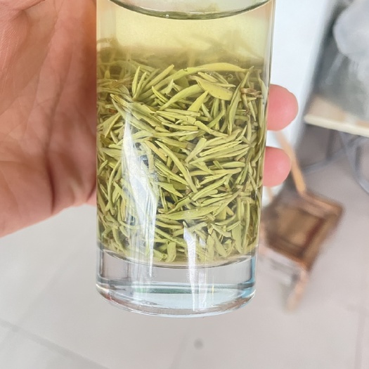 信阳毛尖茶 明前芽批货款 厂自出